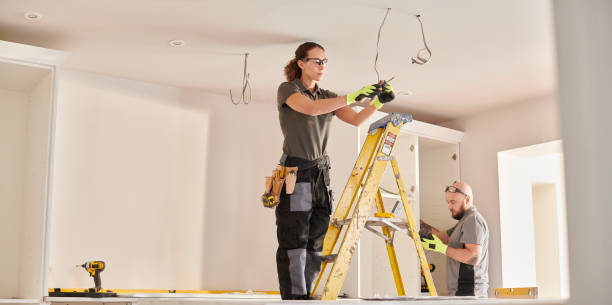 Best Electric Panel Repair  in Spring Lake Park, MN