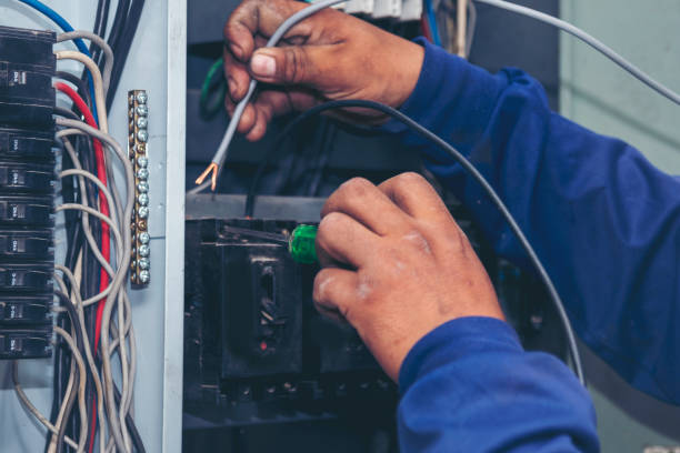 Best Generator Installation Services  in Spring Lake Park, MN