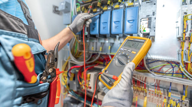 Best Electric Panel Repair  in Spring Lake Park, MN